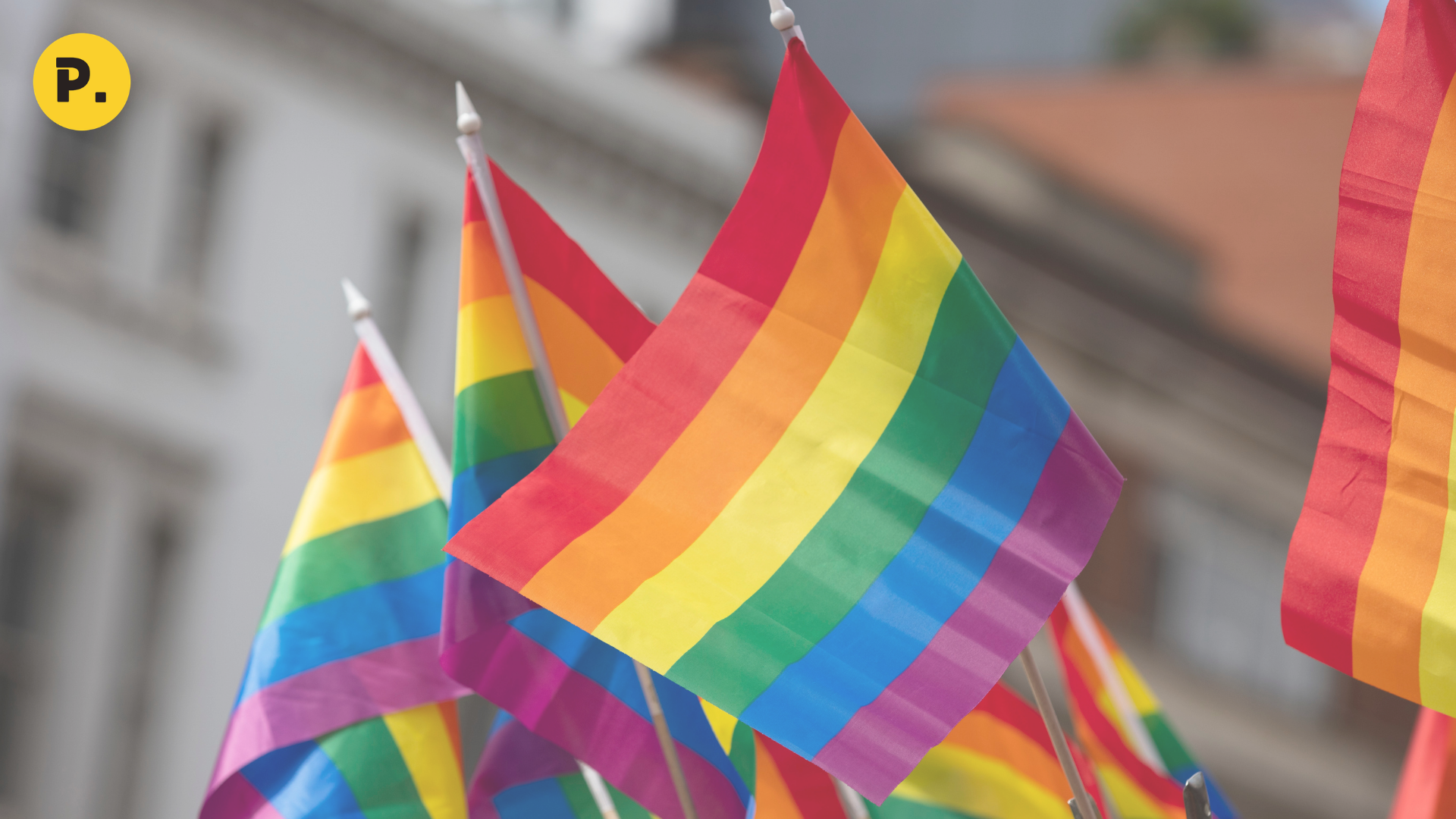 Quando faltam dados, faltam direitos: a invisibilidade estatística da comunidade LGBTQIAPN+